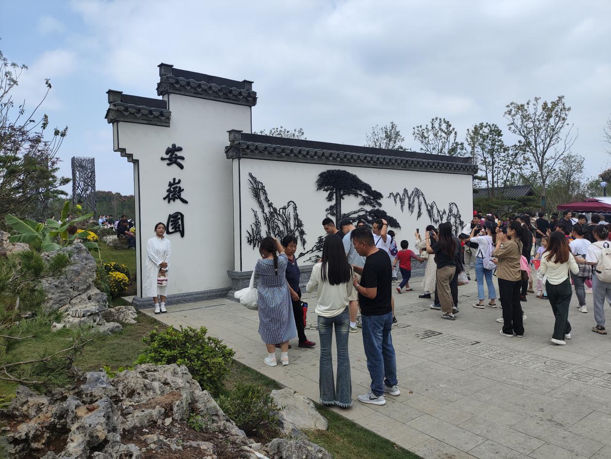 非遗技艺走进合肥园博园